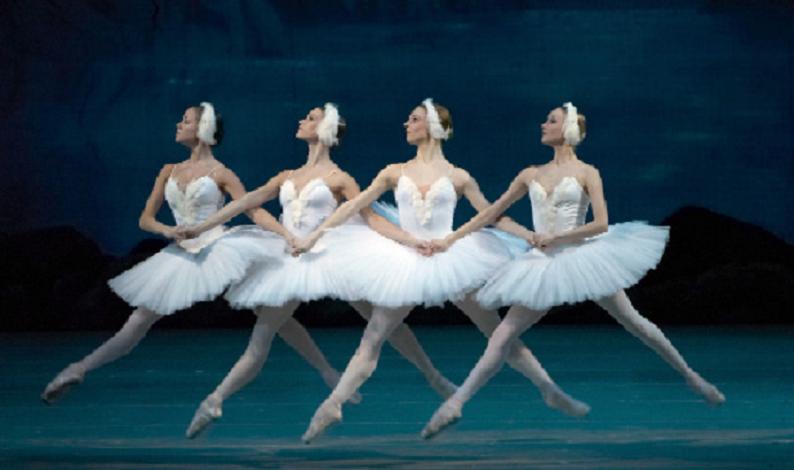 ballerina swan lake
