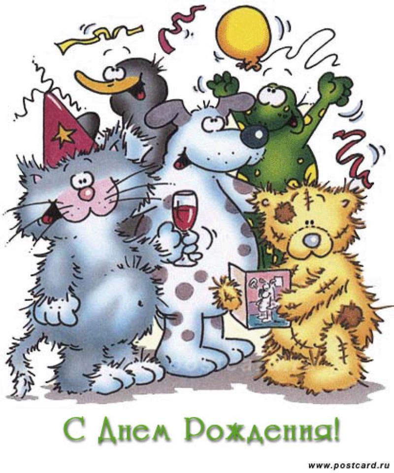 happy birthday cat funny. 01 Russian Happy Birthday Cat