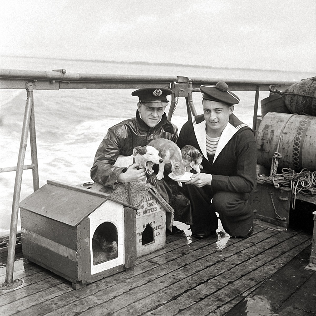 00-0h-cats-at-war-french-training-ship-theodore-tissier-1940.jpg