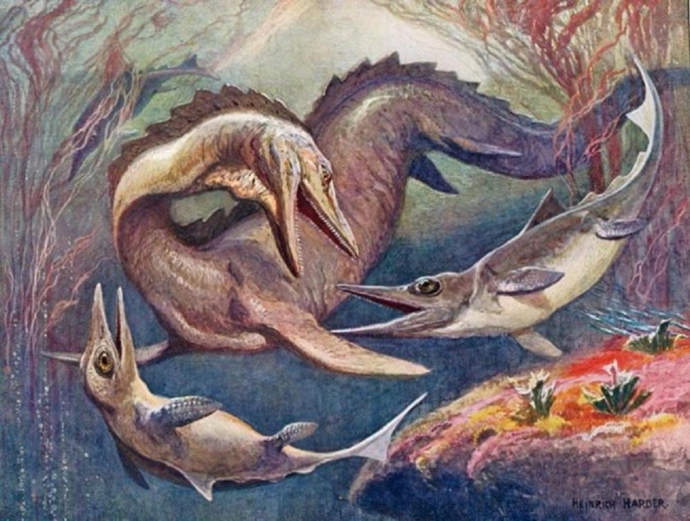 Encyclopaedia of Ethrum Mosasaur-with-ichthyosaurs-e1279657031171