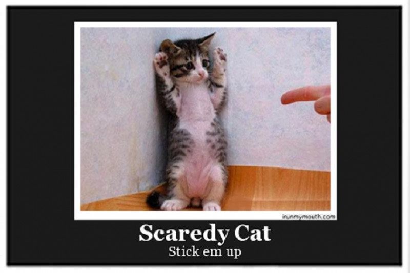01 Scaredy Cat