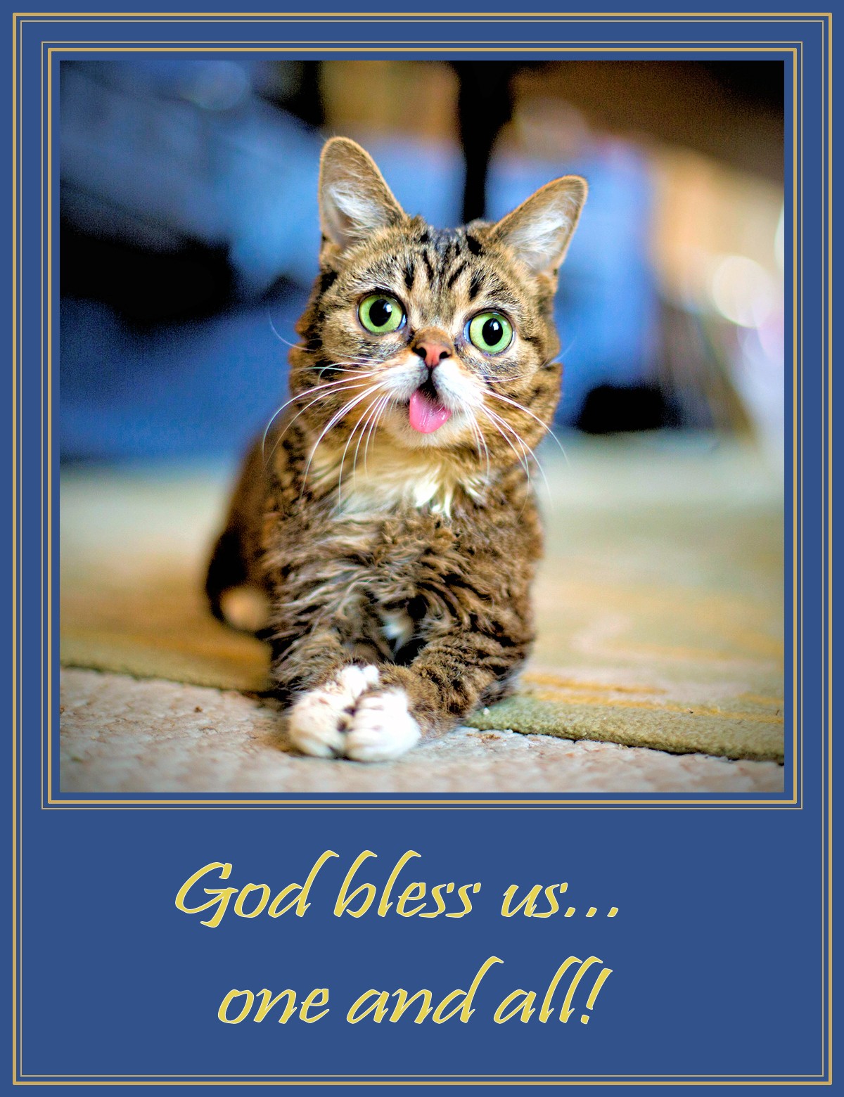 [Image: 00-lil-bub-the-internet-cat-god-bless-us-15-06.jpg]
